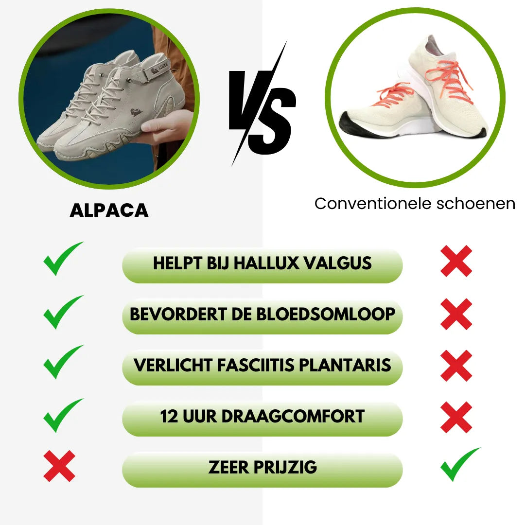 Alpaca_Netherlands_13.webp